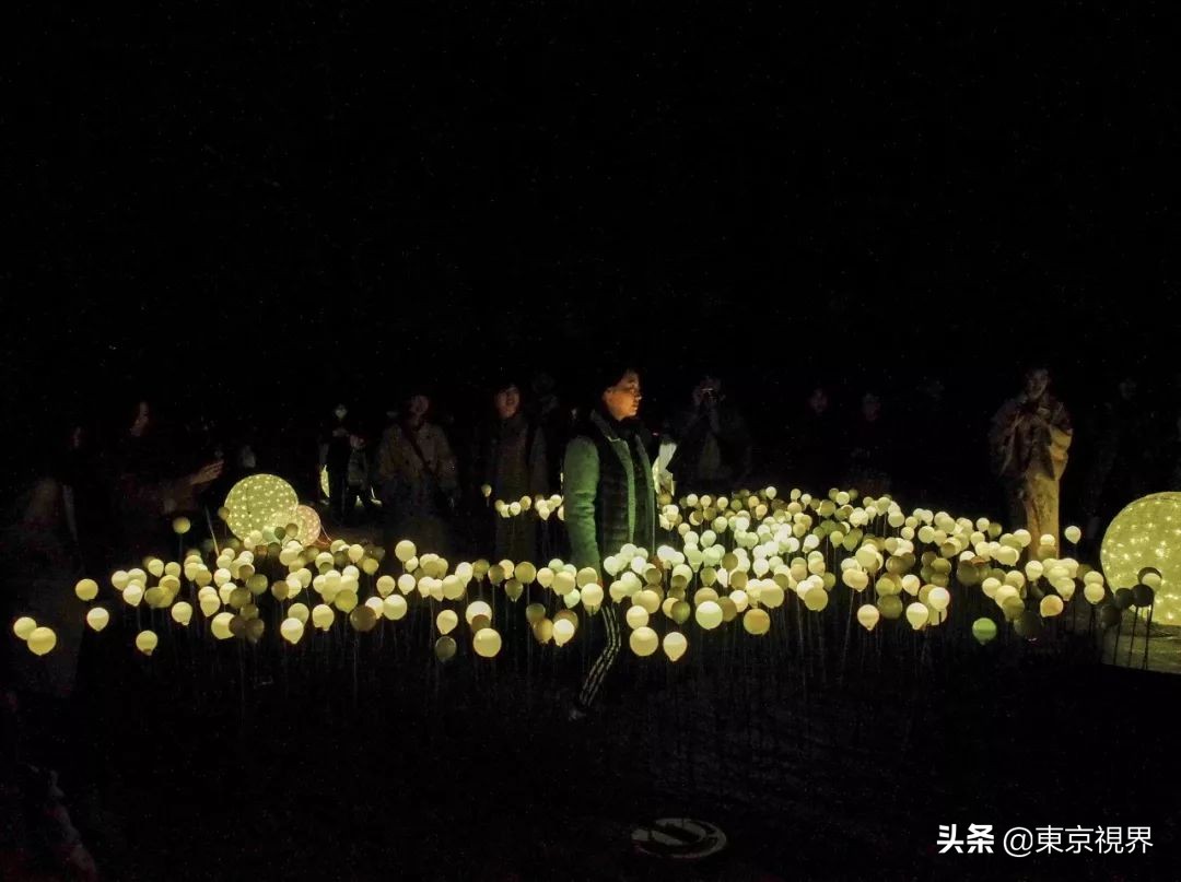 我在京都,攒下一整个春日的绝美樱色送给你。