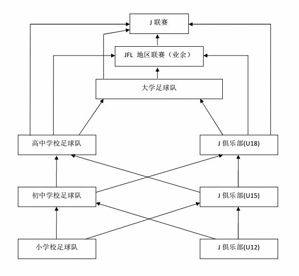日本动漫对体育的影响,动漫对体育的影响