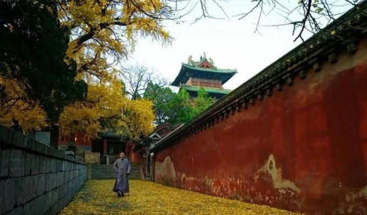 舍利子为什么只有僧人才有,舍利子是高僧圆寂时吞下的珠宝吗