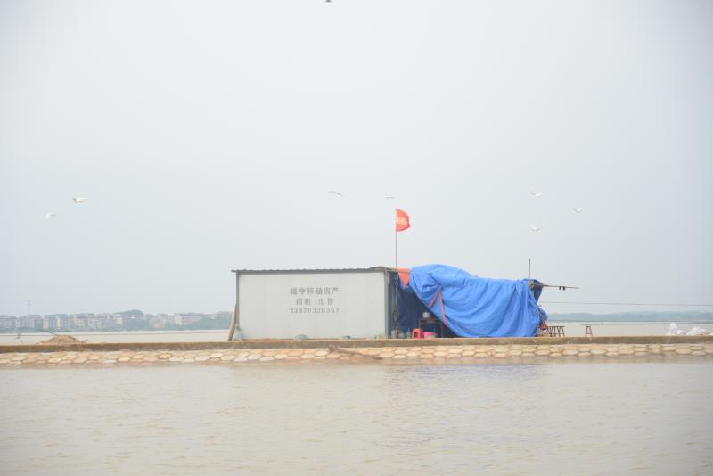 停水断电没信号，鄱阳湖里这座小岛没慌，抗洪救灾60岁比20岁还强