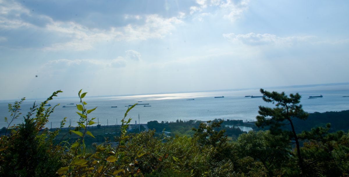 尼康d700怎么拍视频教程,尼康d700带手柄效果如何