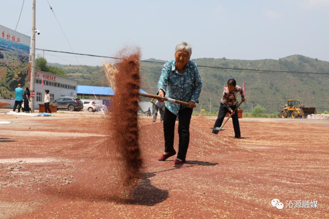 沁源县挣钱项目,沁源有什么商机