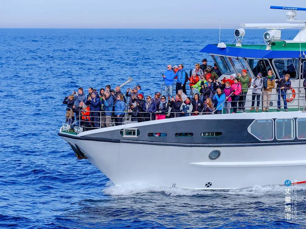 维京遇到全域旅游，美丽乡村、特色小镇一网打尽：挪威渔业史漫步