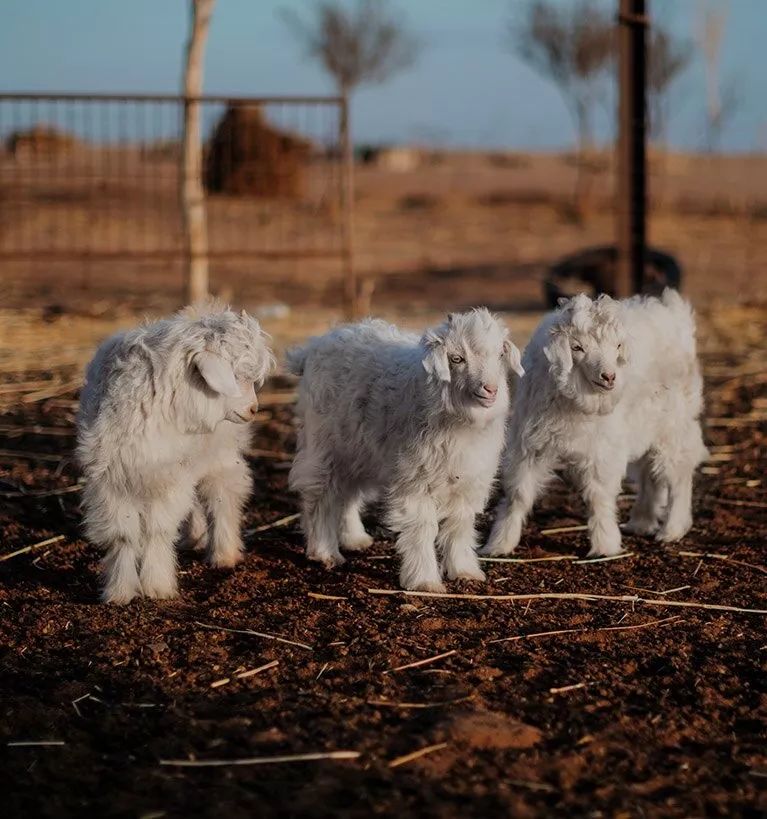 那些几千几万的衣服成本有多少,那些看上去很贵的衣服