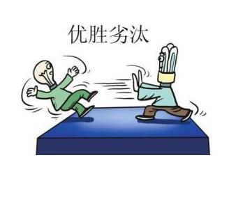 揭秘除甲醛行业,除甲醛这个行业应该怎么做