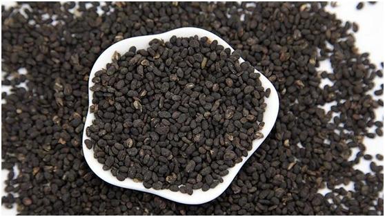 补骨脂治疗白癜风会好吗,补骨脂针剂治疗白癜风是天天打吗