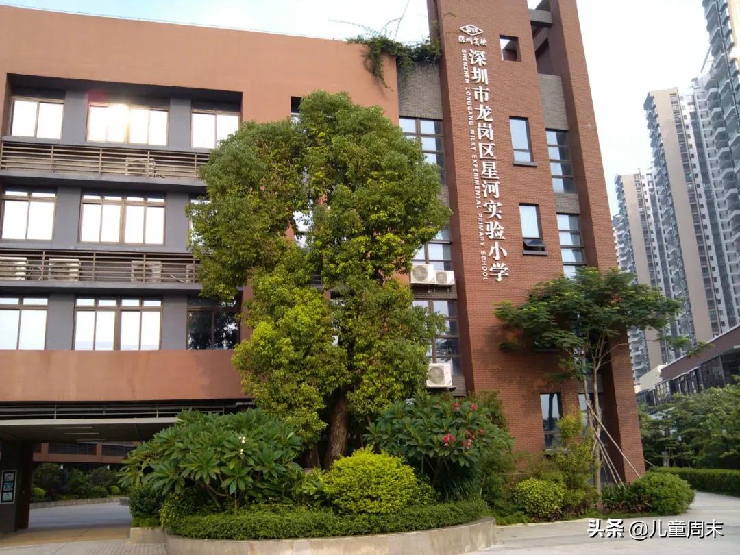 扒一扒深圳的知名小学福田,扒一扒深圳知名小学南山篇