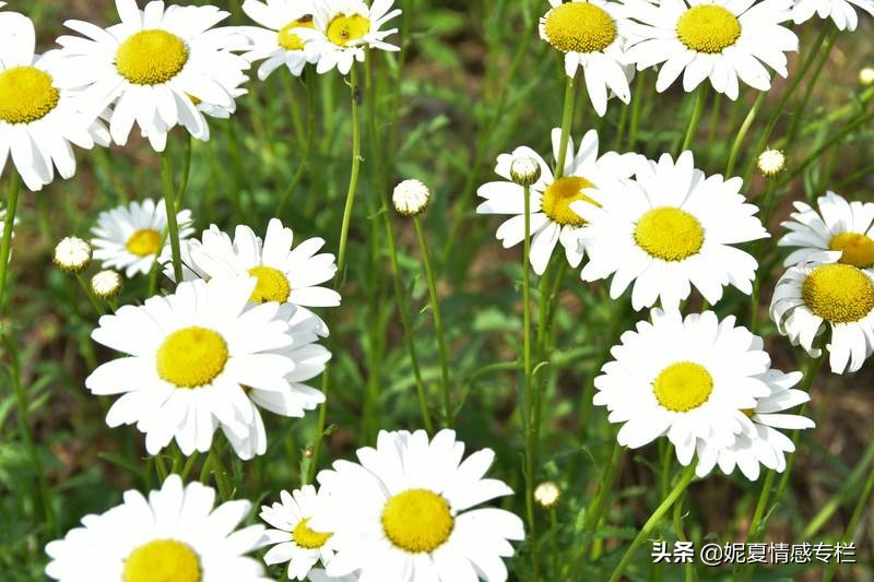 一封丈夫出轨的信,一封关于出轨的信