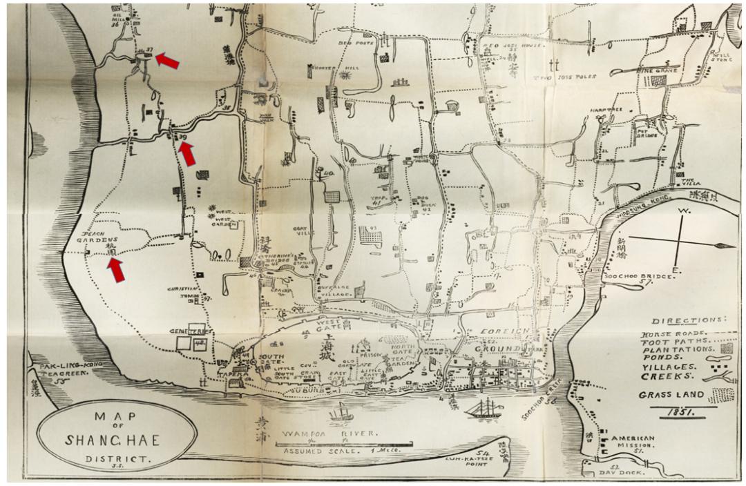 低调的南园，竟然隐含着海上丝绸之路的重要一环