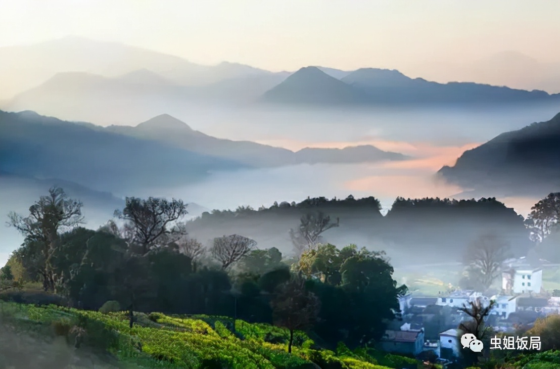 婺源本地人眼里婺源的游玩攻略,婺源景区详细攻略