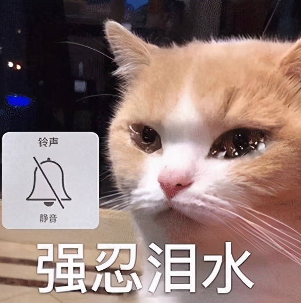 老板不发年终奖怎么发朋友圈,过年老板发年终奖怎么感谢