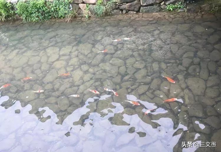 当角们走近东屏|浙江台州三门县雨中漫步游记
