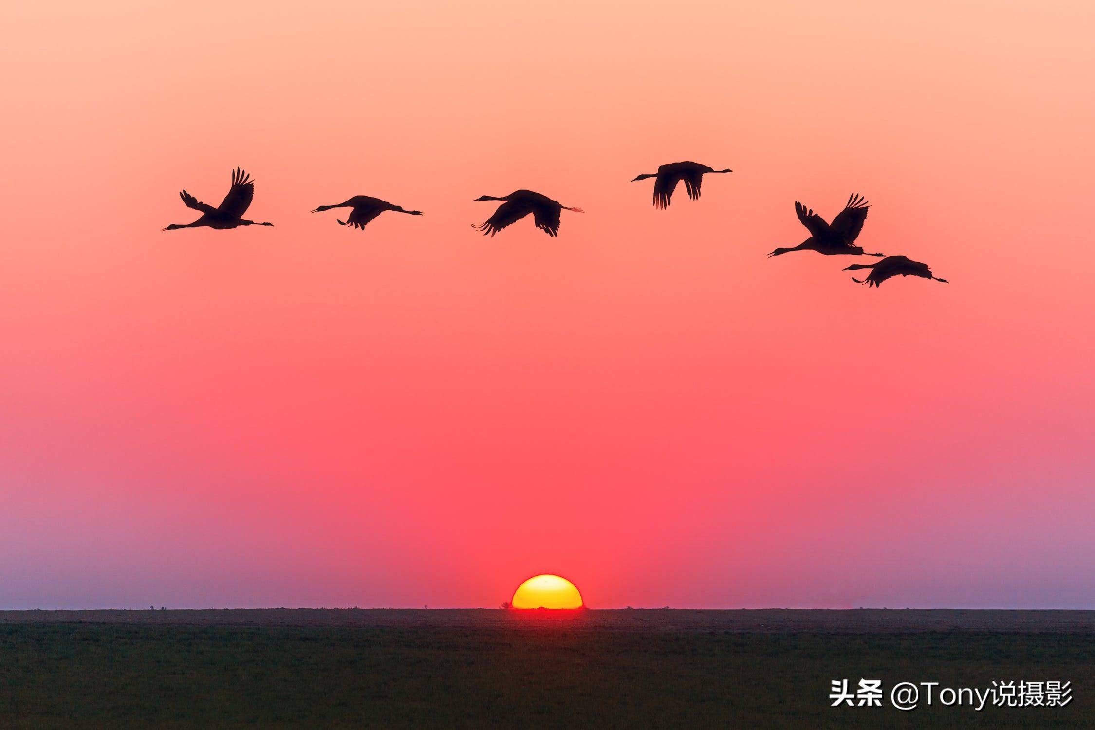 摄影如何拍摄日出日落详解,摄影如何拍日出调整曝光