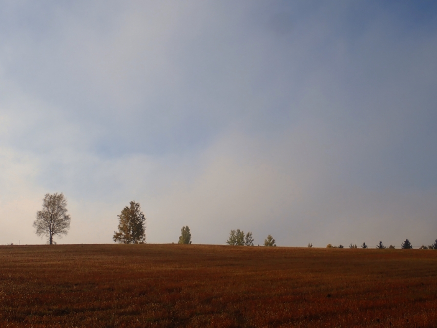 北海道登别到美瑛町需多久,日本北海道美瑛川的雪景