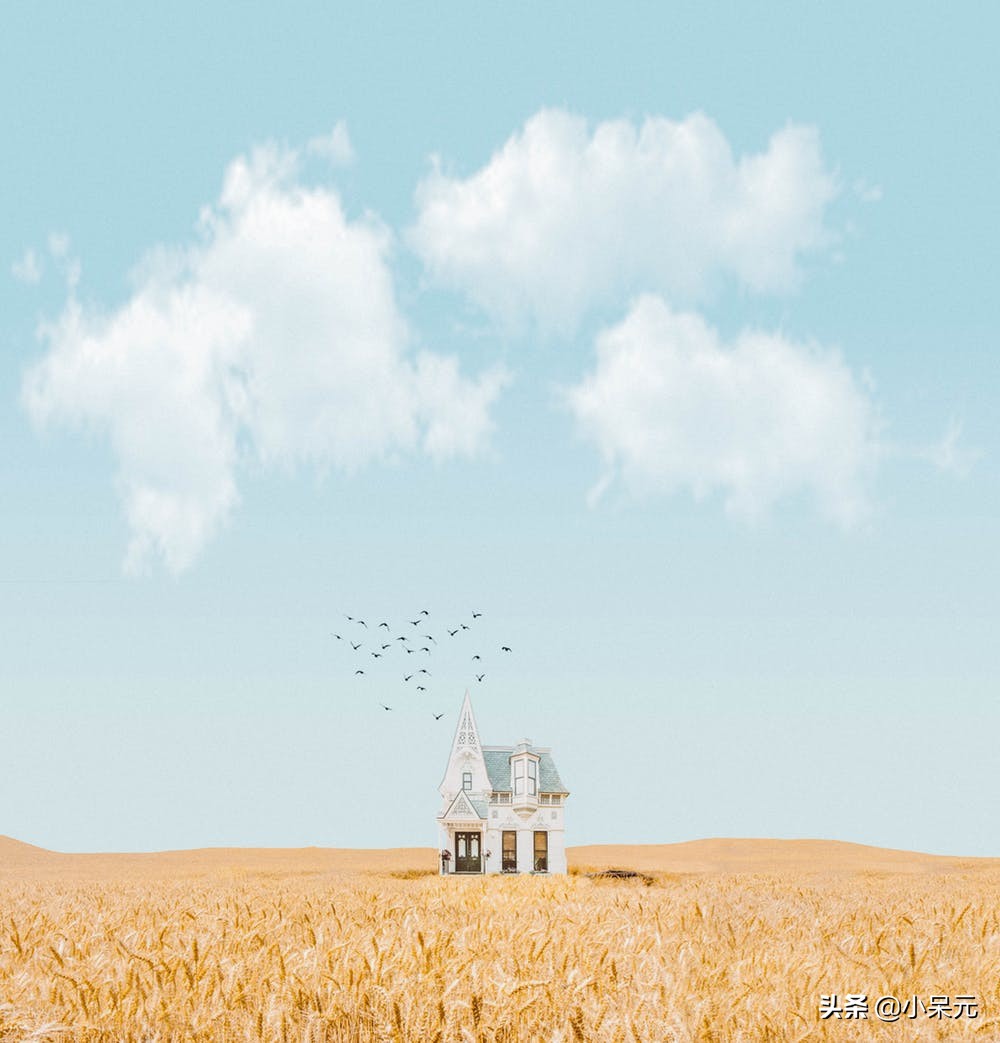 成功的人都是非常努力的,成功的人都倔强