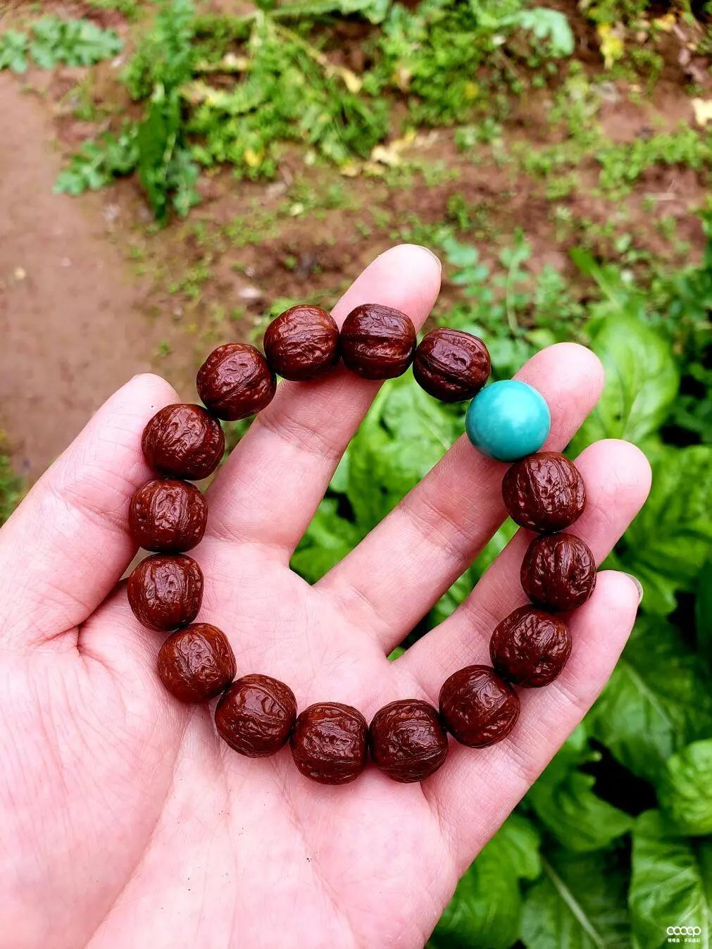 小核桃手串是不是越小就越好,玩核桃少走弯路