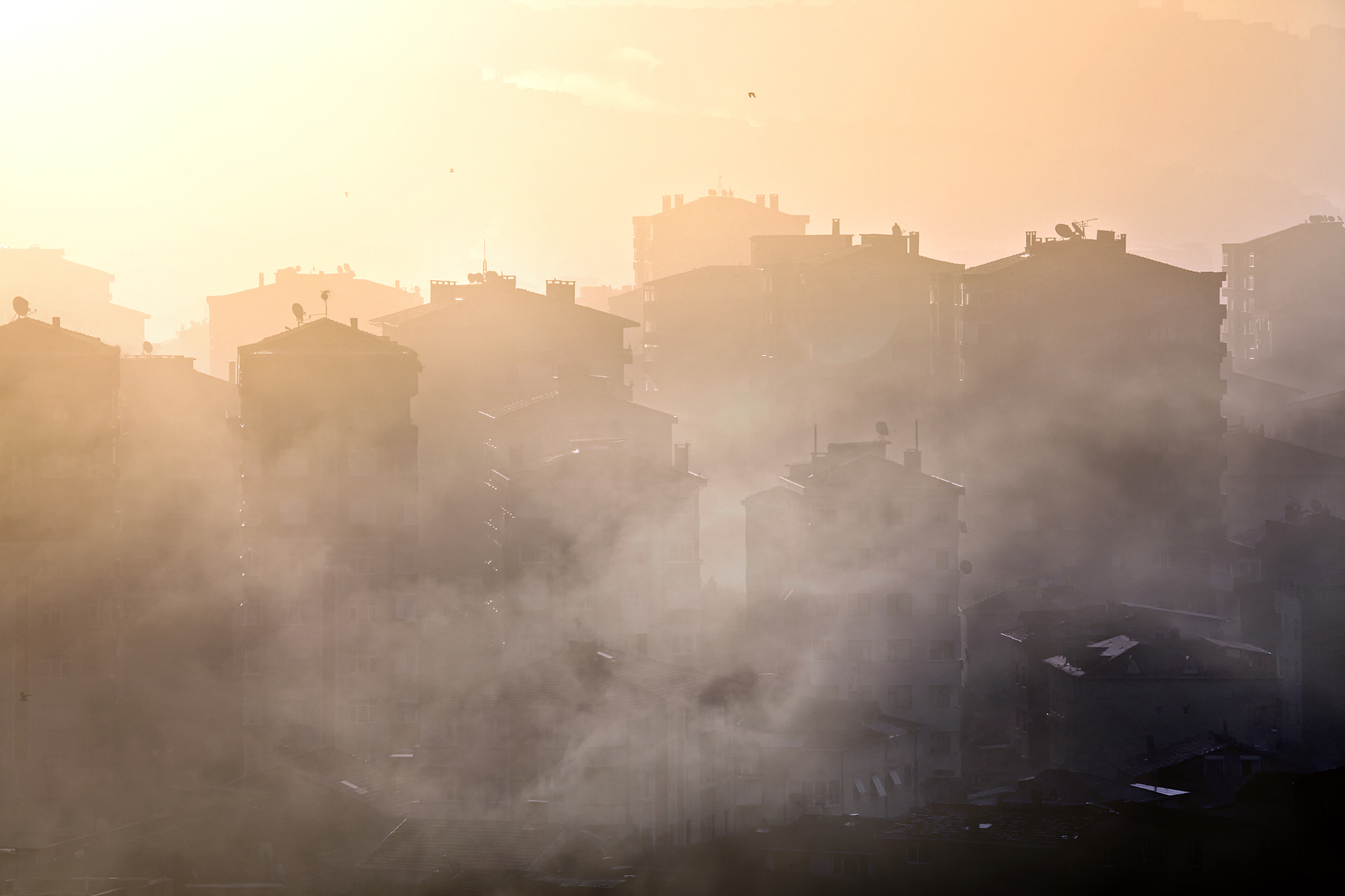 “盐城首富”身家大缩水!公司虚增收入1400万,曾涉环境污染