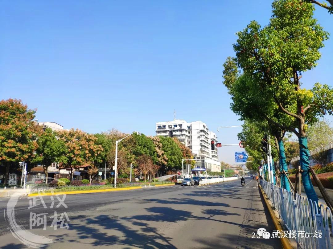 内环一线小户型新盘,内环一线小户型楼盘