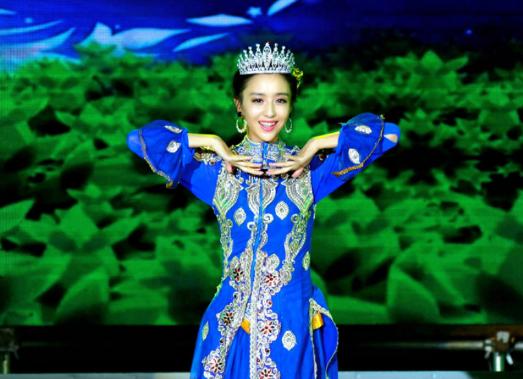 陈思诚花心,花心才子陈思诚