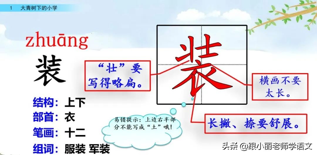 大青树下的小学重点知识点,大青树下的小学重点知识梳理