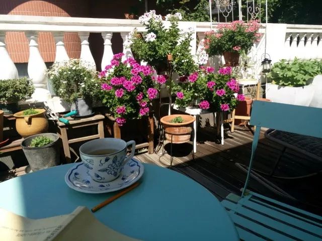 盆花极度干旱怎么处理,盆花水涝了怎么办