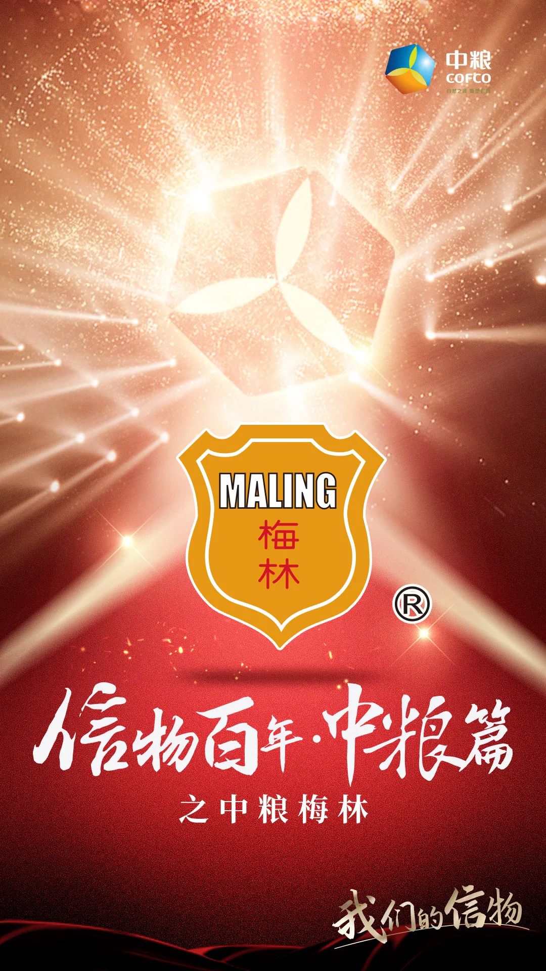 信物百年,信物百年中信