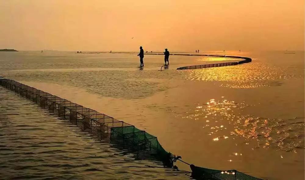 【读历史游盘锦】几许渔人飞短舟，尽载灯火归村路渤海金滩蛤蜊岗