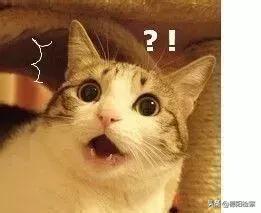 谨慎使用日本的网红眼药水,遭禁售的日本眼药水