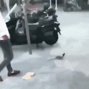 上万的电脑打游戏,5000块钱的电脑打游戏