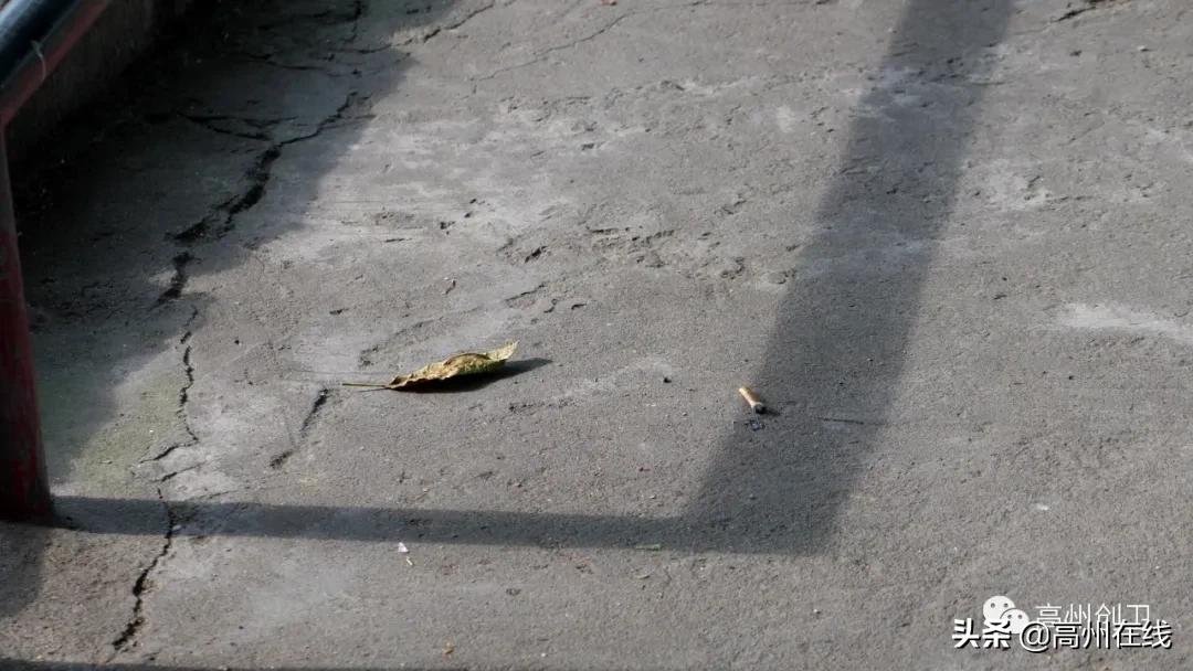 高州这些“潇洒哥”被曝光,你当街乱丢烟头的样子真丑