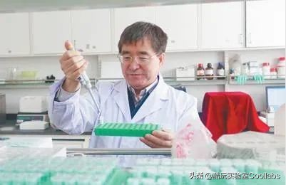 北京三环农田,北京三环麦田房价