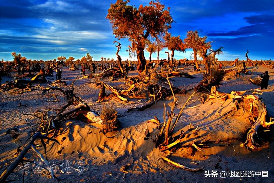 世界上最干旱的沙漠七年没下雨,世界第一大沙漠和第十大沙漠