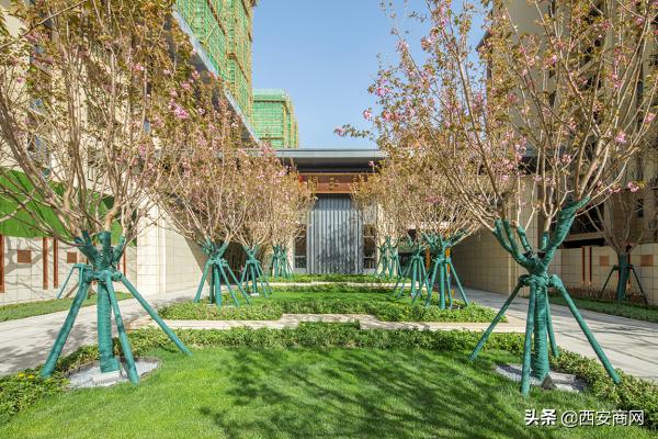 浐灞碧桂园未来趋势,碧桂园顶跃西安浐灞