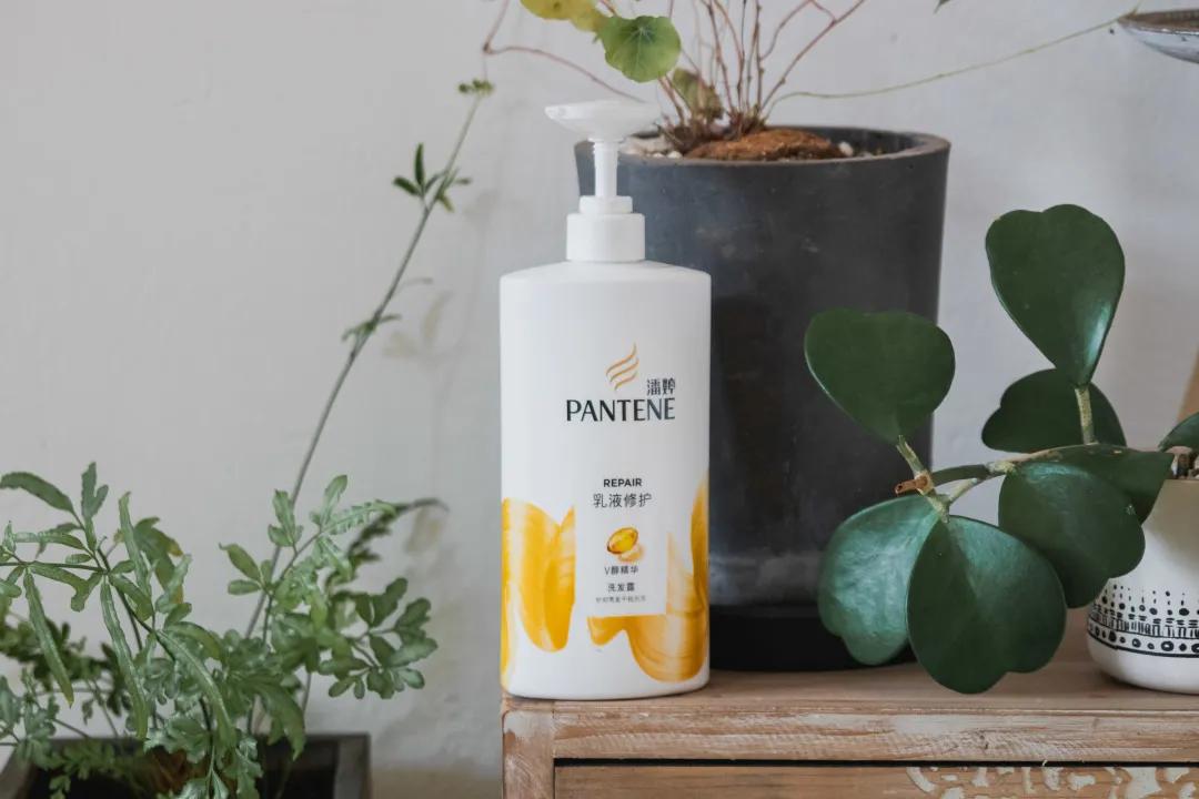 凭实力说话不靠脸,凭实力说话下一句