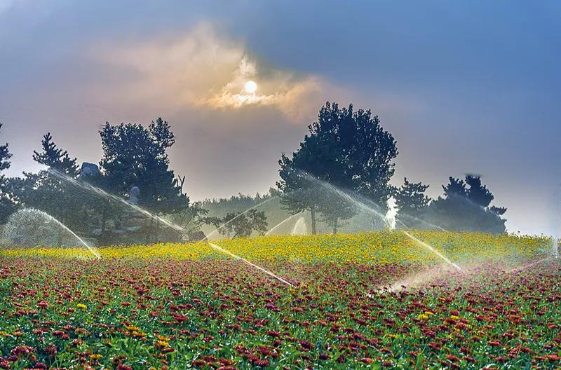 花园洋房玖御壹品,桂花园洋房一楼带院