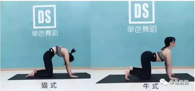 治疗腰椎间盘突出保健操视频,腰椎保健操练习