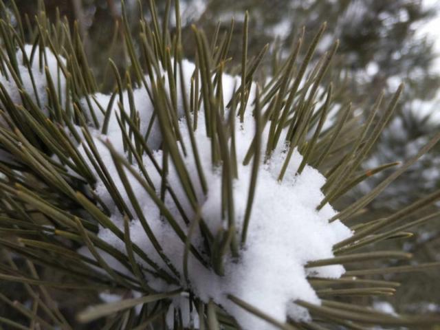 我是谁我在哪里,我是谁我在哪里表情图片