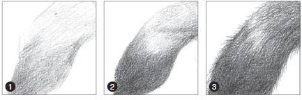 怎么画戴着红领巾的小熊猫,画一只小奶猫超级简单