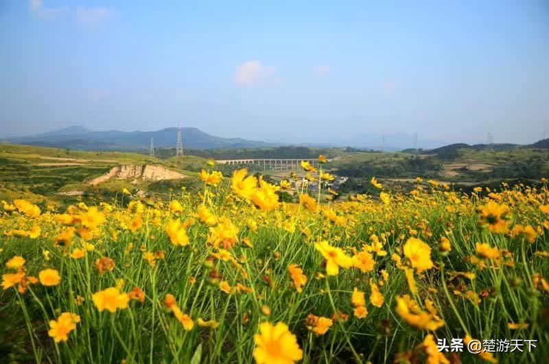 孝感市好玩的地方亲子游,孝感哪些旅游景点值得去玩的