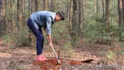 如何挑选结实耐用的锄头,锄头农具哪种好用