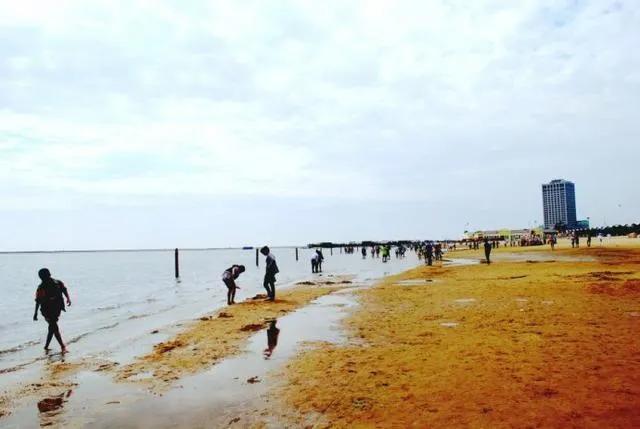 上海的大海现在成什么样了,上海的大海有船吗