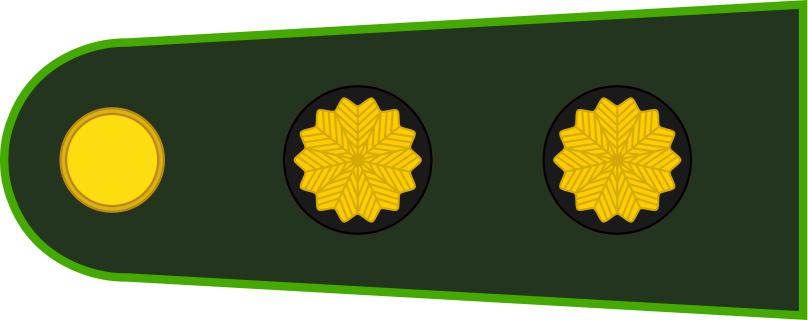 各国军衔标识俄罗斯,各国军衔标识