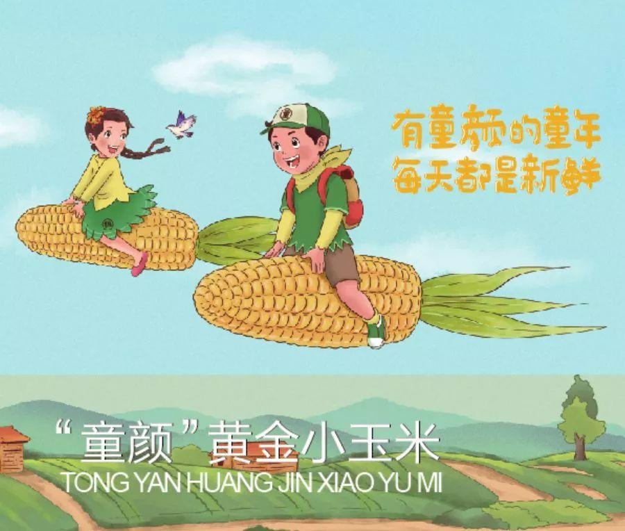 童颜小玉米做法,小玉米甜糯低脂