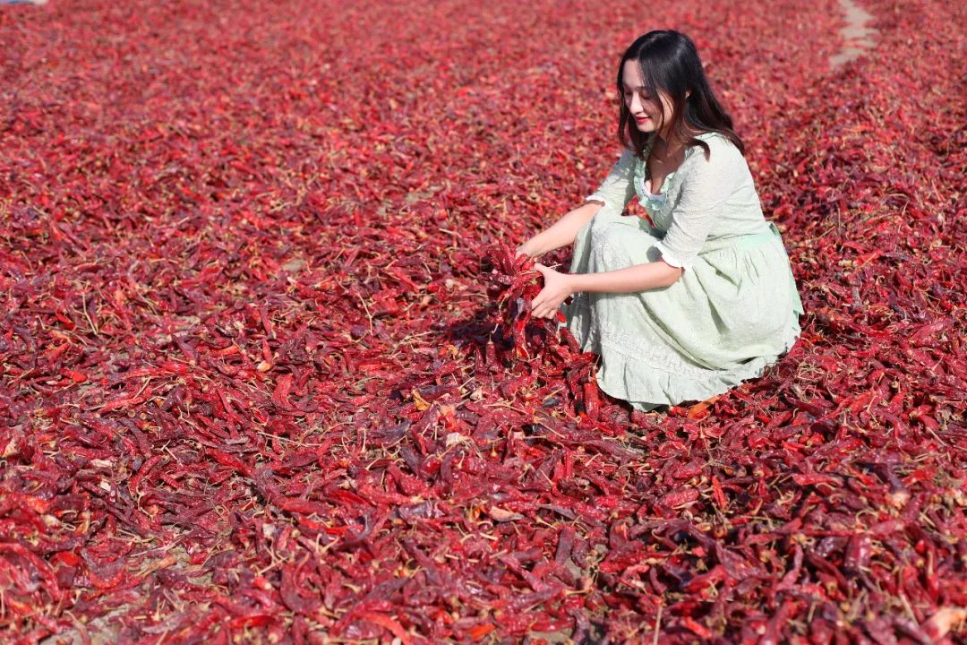 苏州女子探秘南疆巴州：这是一处色彩的世界，超出你的想象