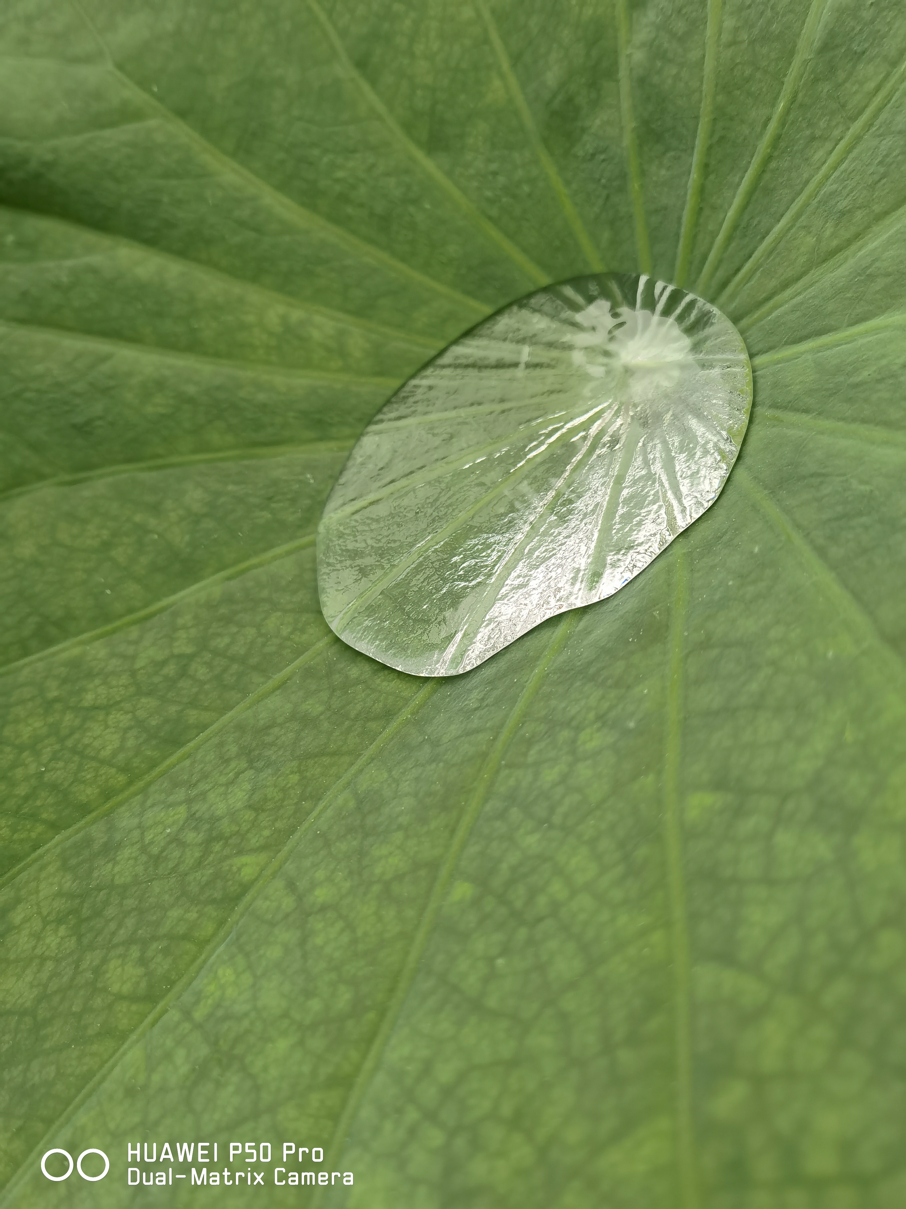 华为p50pro实测,华为p50pro变焦测试