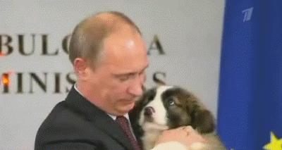 普京最近几天的新闻,普京最近干的几件大事