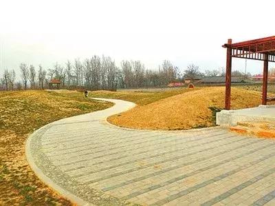 刚刚,海淀交出一份温暖的民生答卷!教育、医疗、住房、养老、交通……