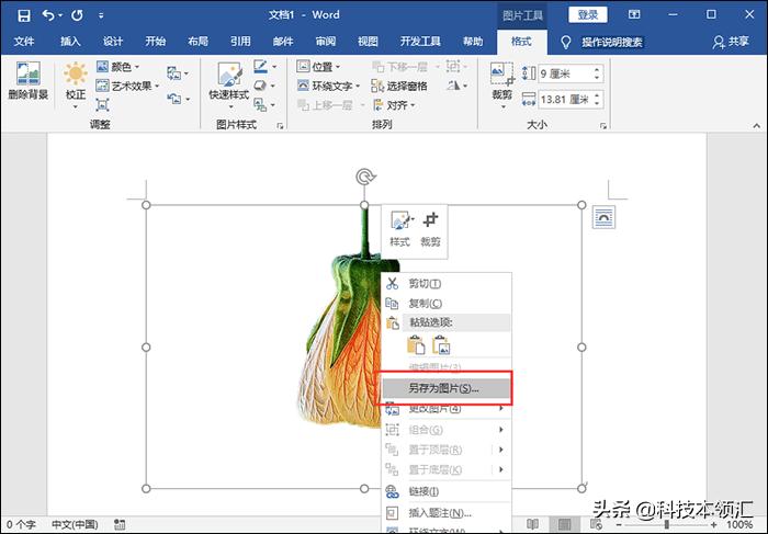 快影怎么抠图不要背景,剪映怎样抠图不要背景