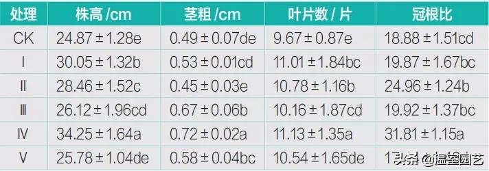 辣椒基质育苗肥哪里买,辣椒育苗基质怎么配制
