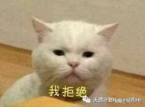 小狗警惕性高吠叫,宠物胆小